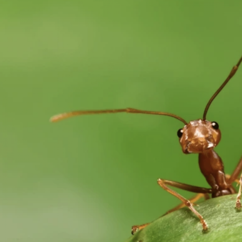 Bildschirmfoto 2024-03-14 um 12.15.45