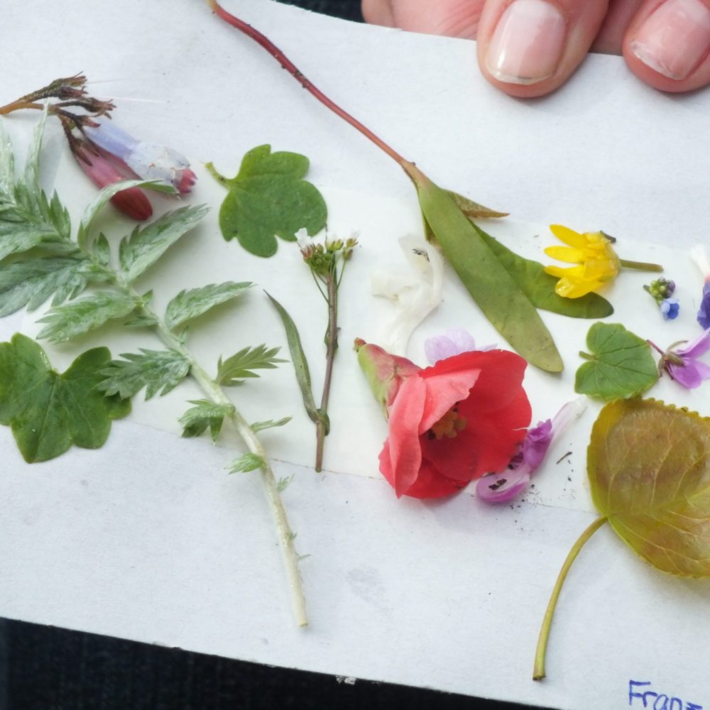 Juleica Auffrischung_S. Jed