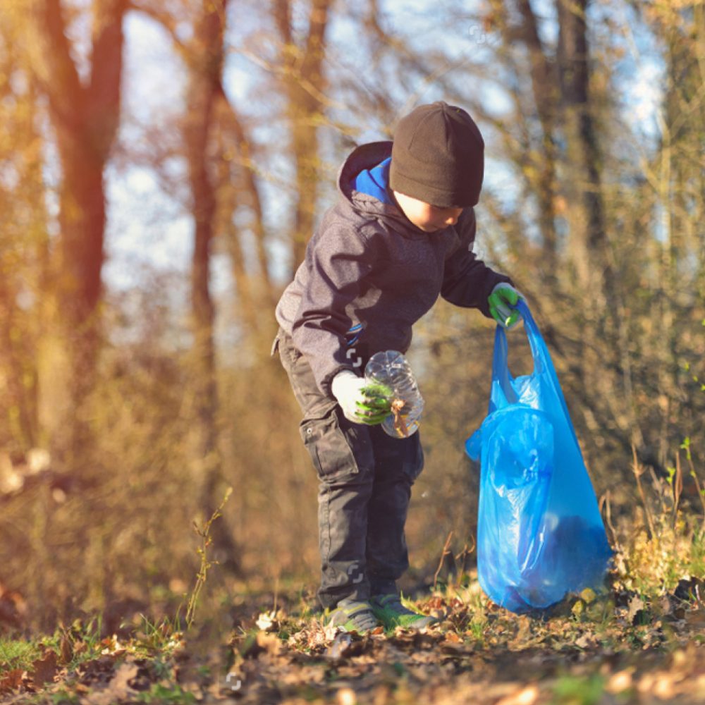 Shutterstock_1347386117