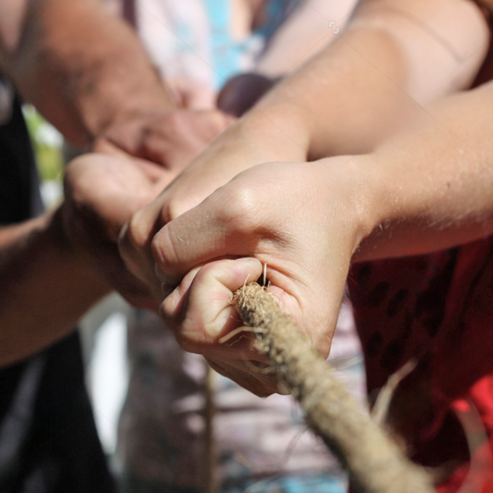 Shutterstock_29509312