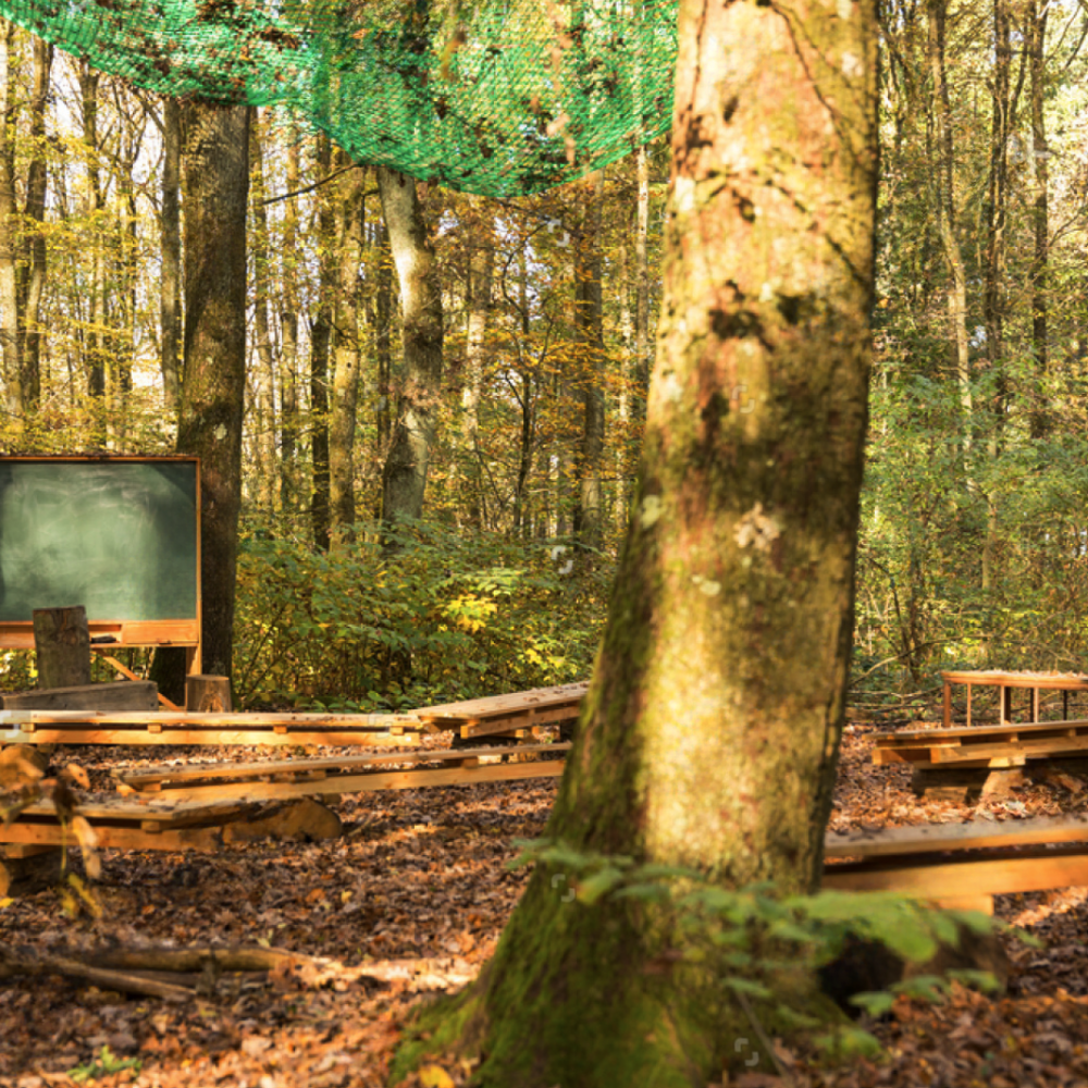 Shutterstock_747249007