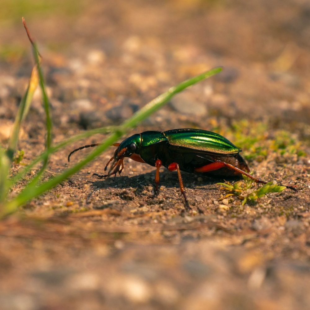 naju klausurtagung ewijk 052023-2